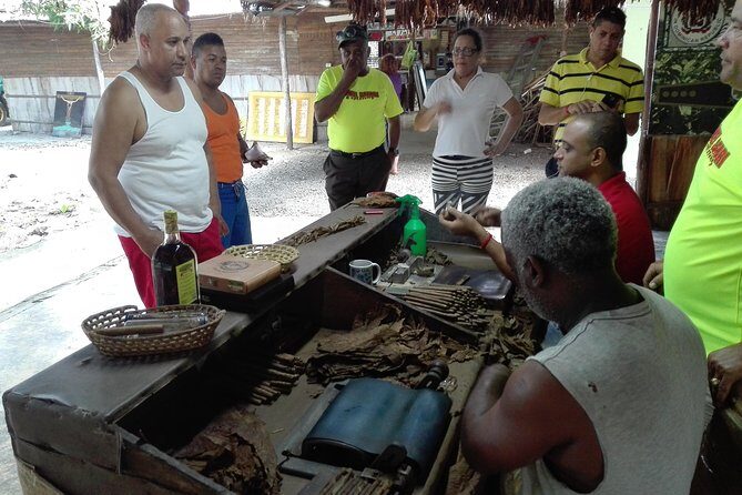 Puerto Plata: Escapada Cultural Tour in Puerto Plata - Who is this tour best suited for?