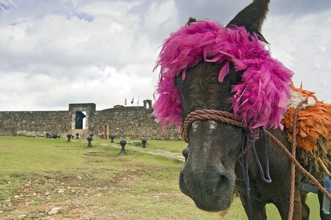 Puerto Plata Historic Town & Countryside - Amber Cove & Taino Bay - The Sum Up