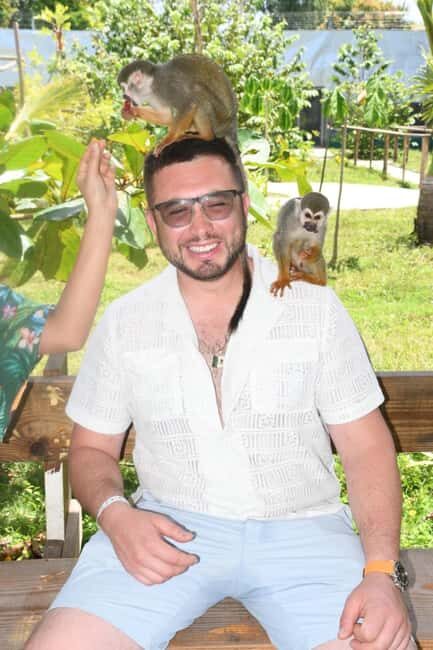 Puerto Plata: Monkey Tour and a Glimpse of Cows and Pigs - Good To Know