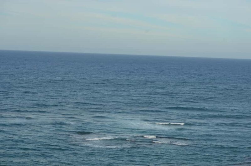 Puerto Plata: Monkey Tour and Dominican History and Culture City Tour - What Sets This Tour Apart?