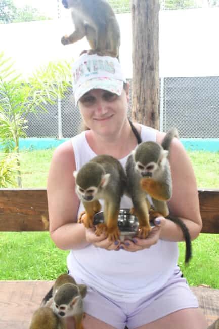 Puerto Plata: Monkey Tour and Dominican History and Culture City Tour - Practical Aspects and Value