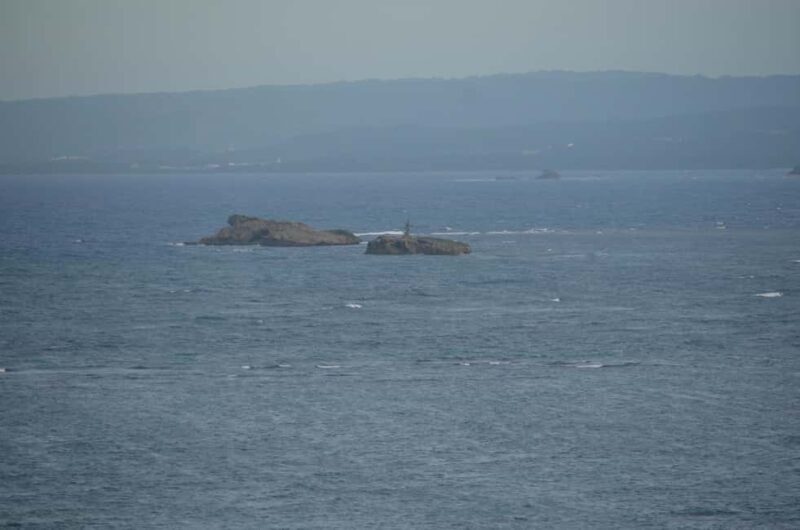 Puerto Plata: Monkey Tour and Dominican History and Culture City Tour - Frequently Asked Questions