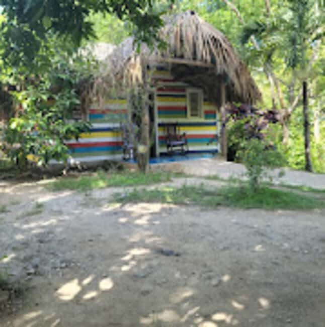 Puerto Plata: Monkeyland Tour - Introduction