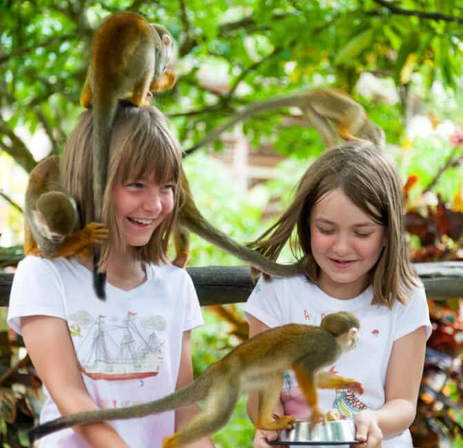 Puerto Plata: Monkeyland Tour - Good To Know