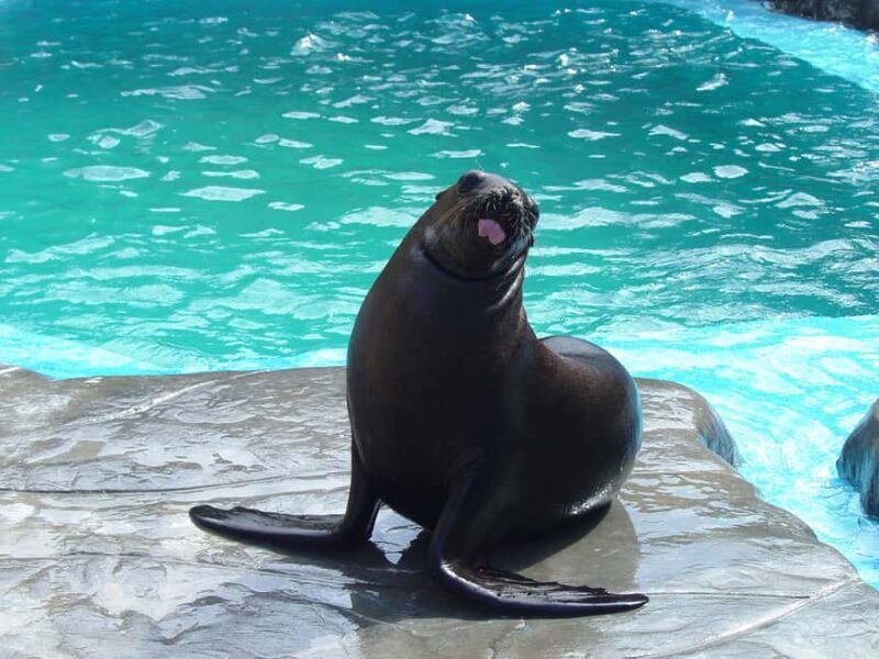 Puerto Plata: Ocean World Adventure Park Day Pass - Good To Know