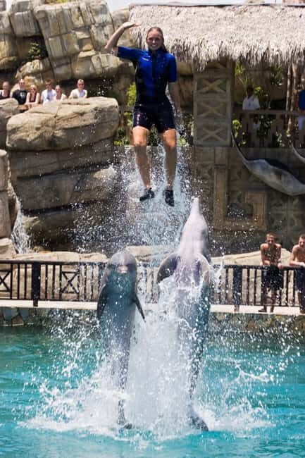 Puerto Plata: Ocean World Adventure Park Day Pass - Introduction: A Balanced Look at Ocean World Puerto Plata