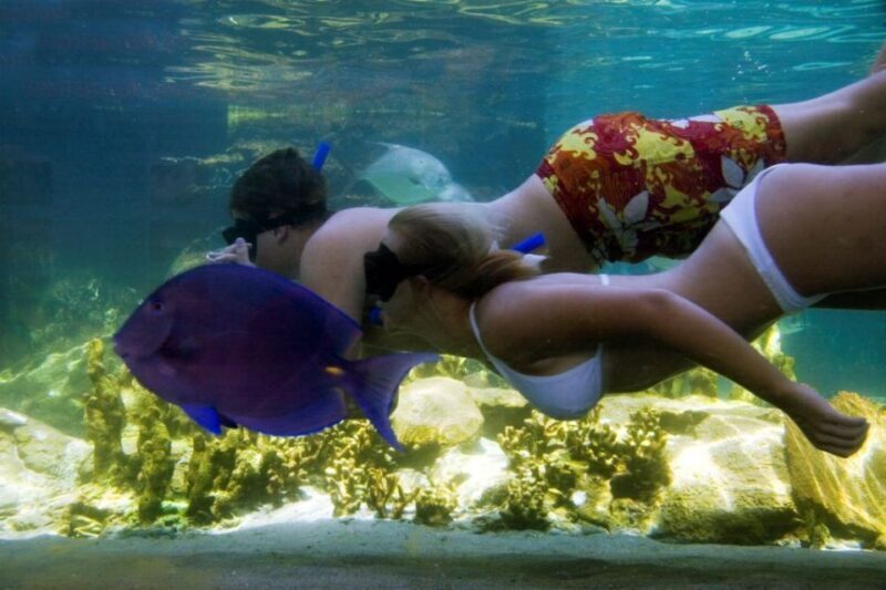 Puerto Plata: Ocean World Adventure Park Day Pass - Insights from Visitors: What They Loved and Noted