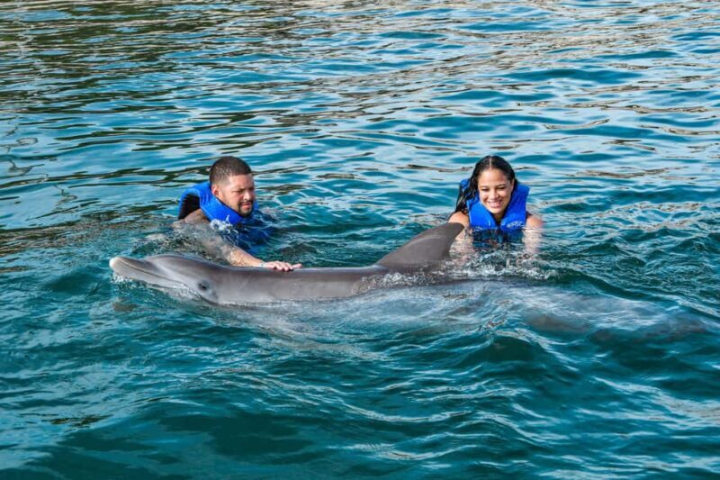 Puerto Plata: Ocean World Adventure Park Swim with Dolphins - Good To Know