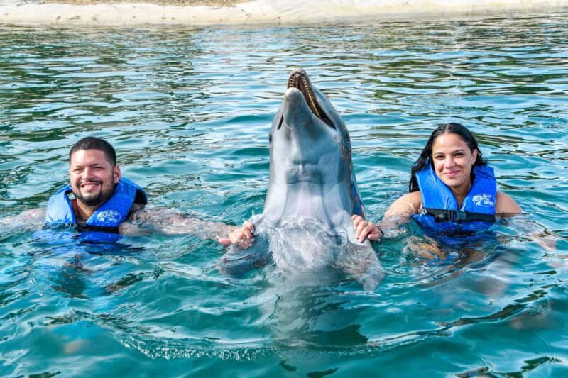 Puerto Plata: Ocean World Adventure Park Swim with Dolphins - Authentic Traveller Insights