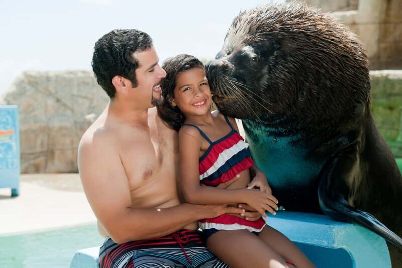 Puerto Plata Ocean World Tickets - Exploring Puerto Plata Ocean World: An Honest Review