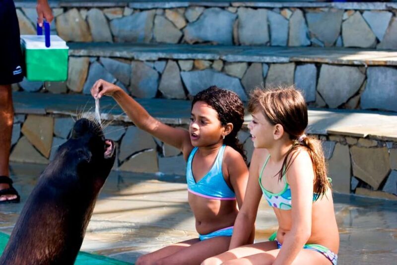 Puerto Plata Ocean World Tickets - Good To Know