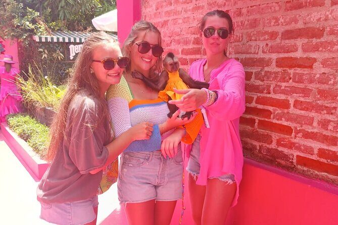 Puerto Plata : Sightseeing in Puerto Plata City - Who Is This Tour Best For?