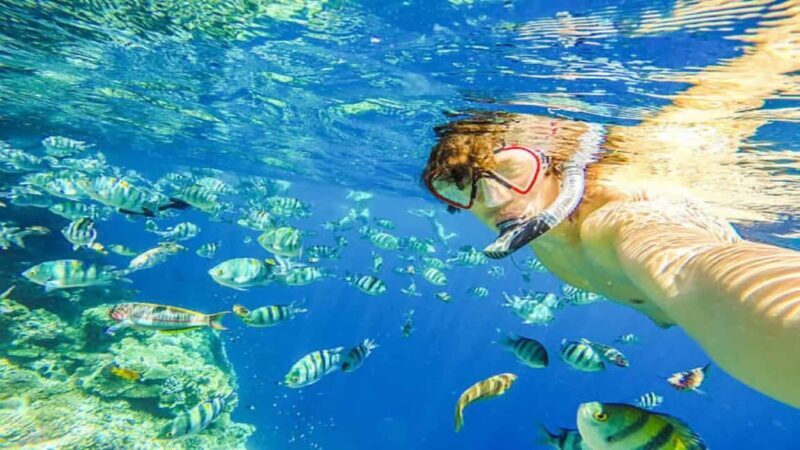 Puerto Plata: Sosúa Bay Snorkeling Tour with Guide - What to Expect from the Sosúa Bay Snorkeling Tour