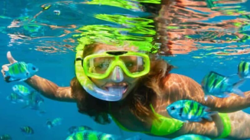 Puerto Plata: Sosúa Bay Snorkeling Tour with Guide - Safety and Environmental Considerations