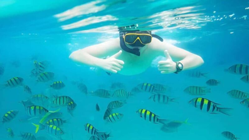 Puerto Plata: Sosúa Bay Snorkeling Tour with Guide - Price and Value Analysis
