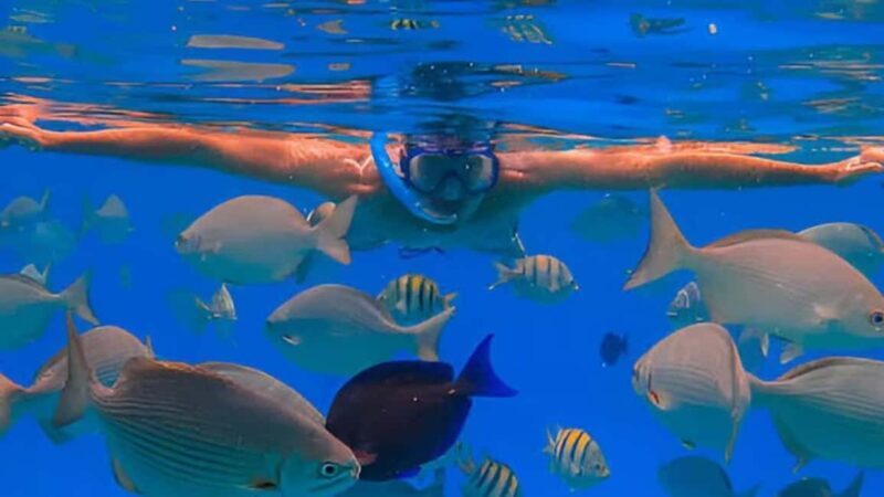 Puerto Plata: Sosúa Bay Snorkeling Tour with Guide - Additional Practical Tips