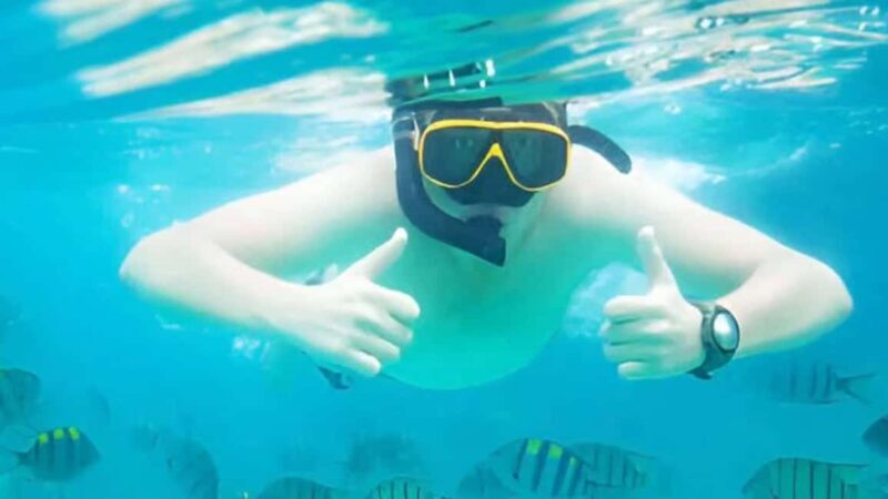 Puerto Plata: Sosúa Bay Snorkeling Tour with Guide - The Sum Up