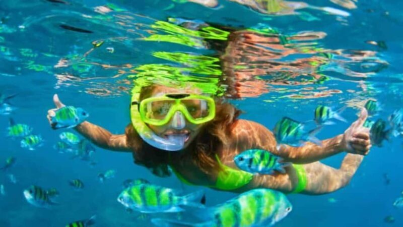 Puerto Plata: Sosúa Bay Snorkeling Tour with Transfers - The Practical Details