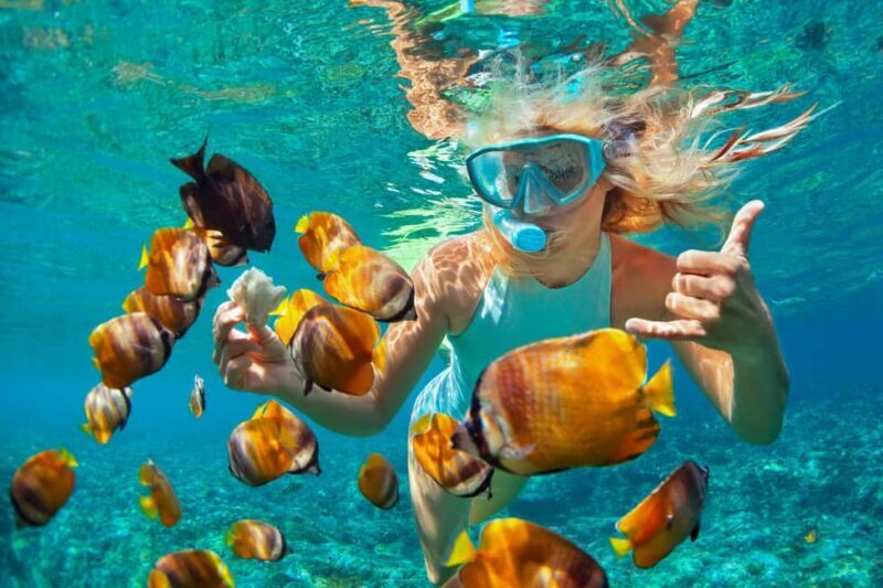 Puerto Plata: Sosúa Catamaran Day Trip with Lunch and Drinks - Snorkeling at the Reef