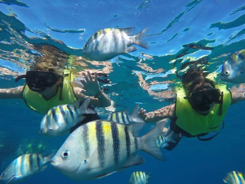Puerto Plata: Sosúa Catamaran Day Trip with Lunch and Drinks - The Lunch and Onboard Party