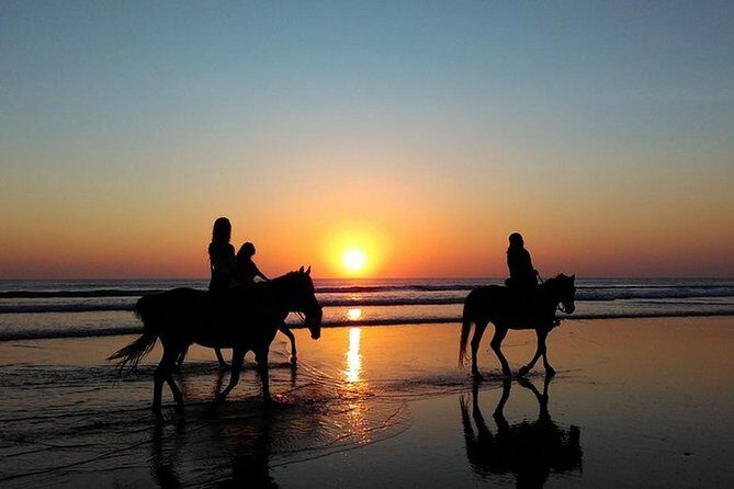 Puerto Plata: Sunset Beach Horseback Riding - What Makes This Tour Stand Out