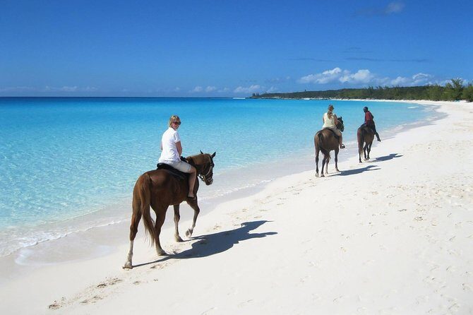 Puerto Plata: Sunset Beach Horseback Riding - Who Should Book This?