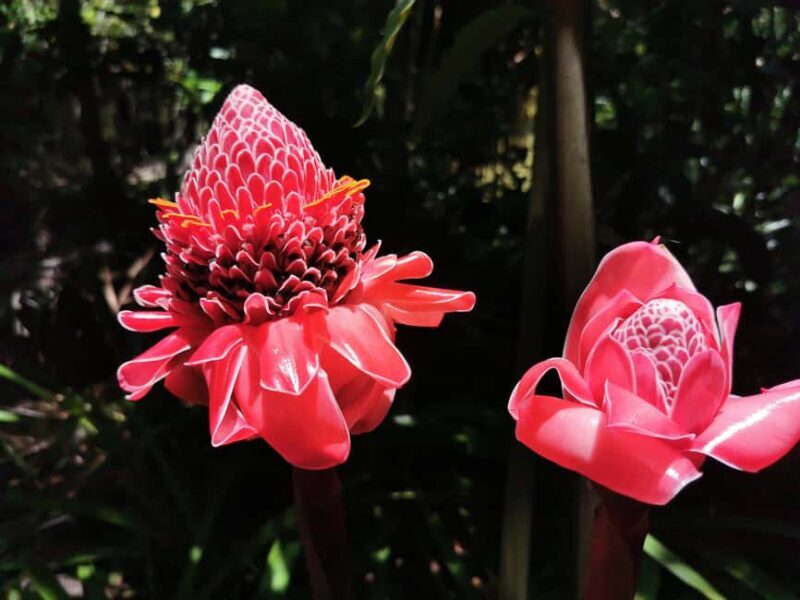 Puerto Plata: Taino Valley and Dominican Flavor Experience - Good To Know