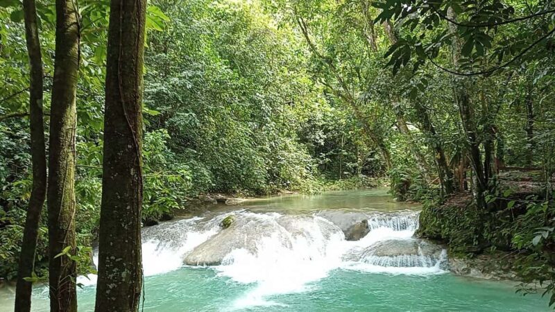 Puerto Plata: Taino Valley and Dominican Flavor Experience - Who Would Love This Tour?