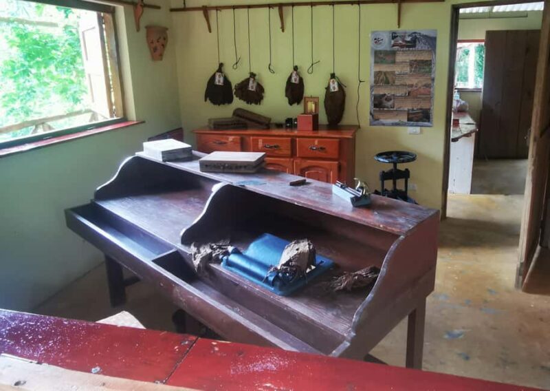 Puerto Plata: Taino Valley and Dominican Flavor Experience - The Sum Up