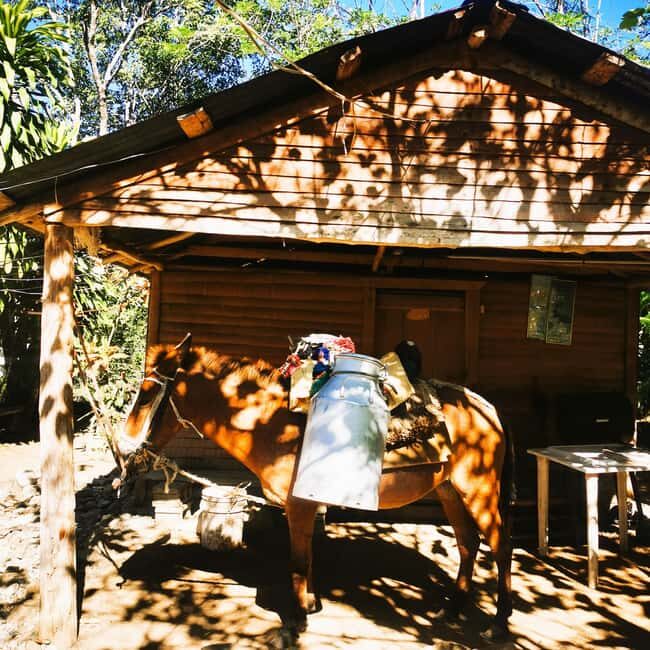 Puerto Plata Trekking - Experience of Nature and Folklore - Who Will Love This Tour?