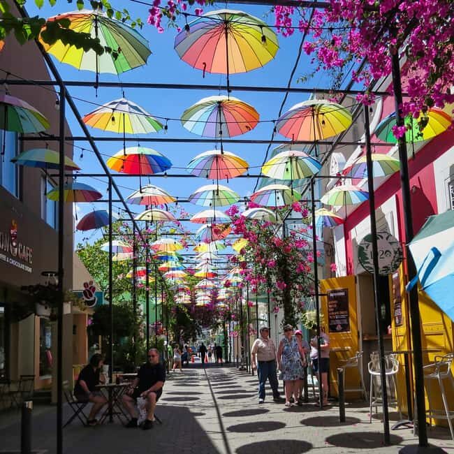 Puerto Plata: Walking Tour with Rum & Chocolate Tastings - Good To Know