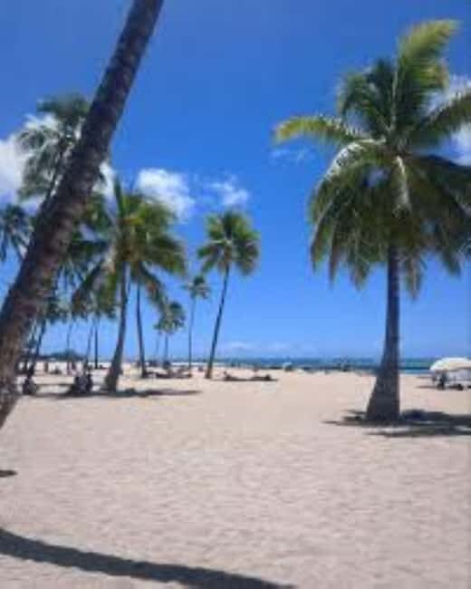 Puerto Plata: Whale Watching & Bacardi Island Day Trip - An In-Depth Look at the Experience