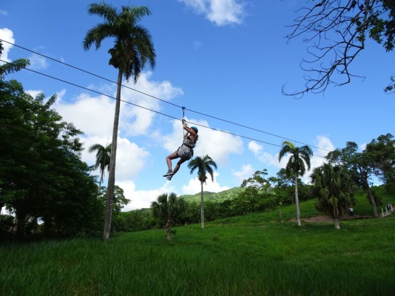 Puerto Plata: Zip Line Adventure - Final Thoughts