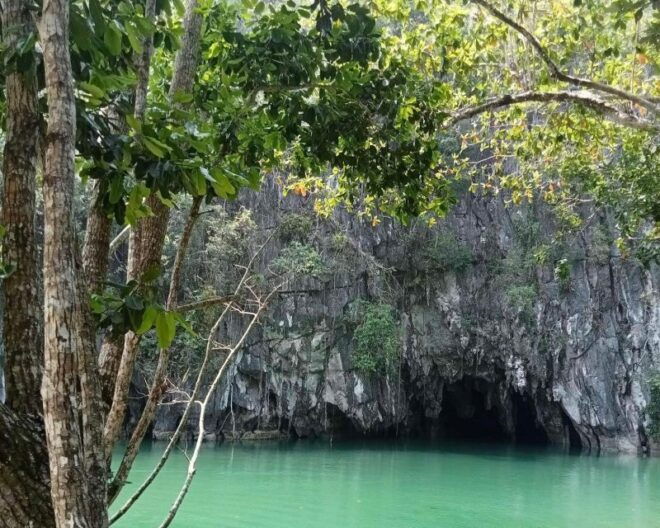 Puerto Princesa: 4D3N Tours and Hotel Package - Common Questions