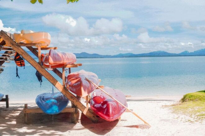 Puerto Princesa: Cowrie Island Guided Day Tour With Meal - Highlights