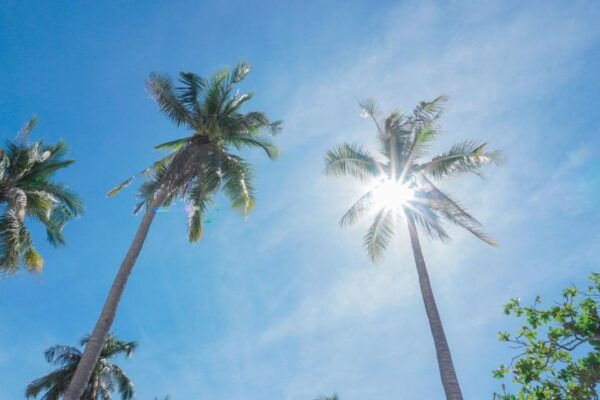 Puerto Princesa: Cowrie Island Guided Day Tour With Meal - Common Questions