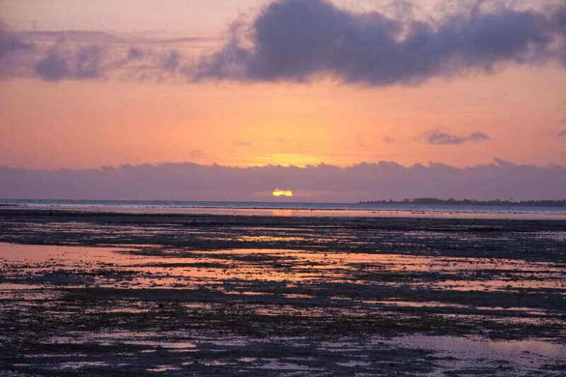 Puerto Princesa: Firefly Watching Bay Cruise with Dinner - The Itinerary in Detail