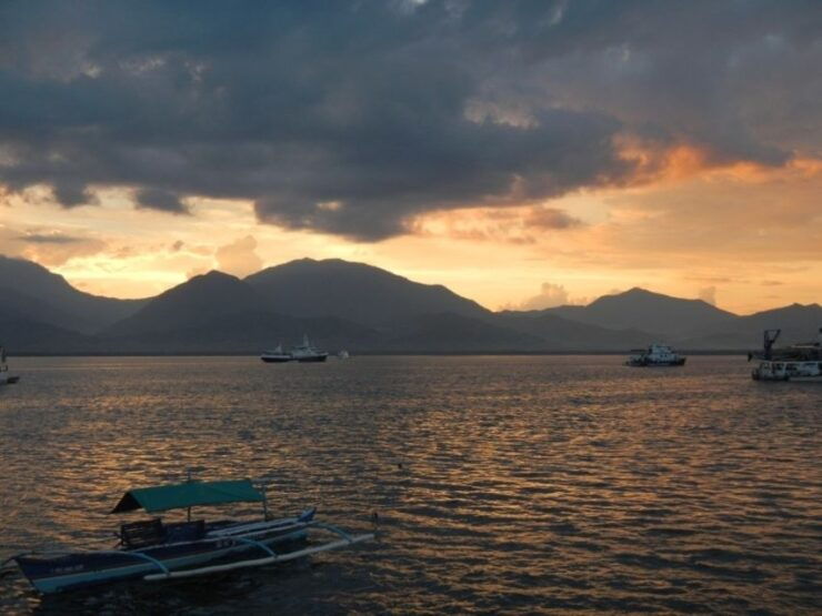 Puerto Princesa: Firefly Watching Bay Cruise With Dinner - Activity Details