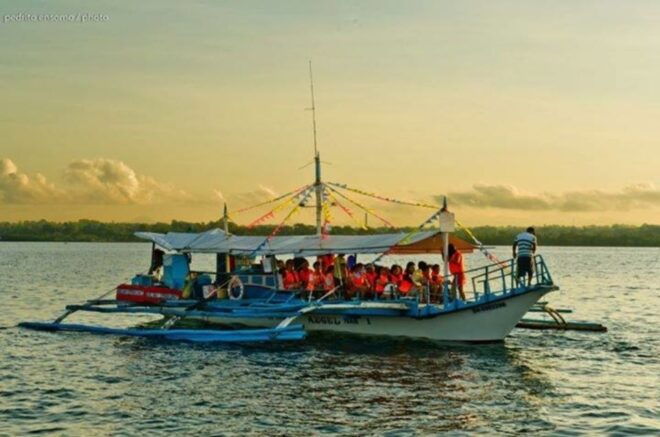 Puerto Princesa: Firefly Watching Bay Cruise With Dinner - Reserve Now & Pay Later