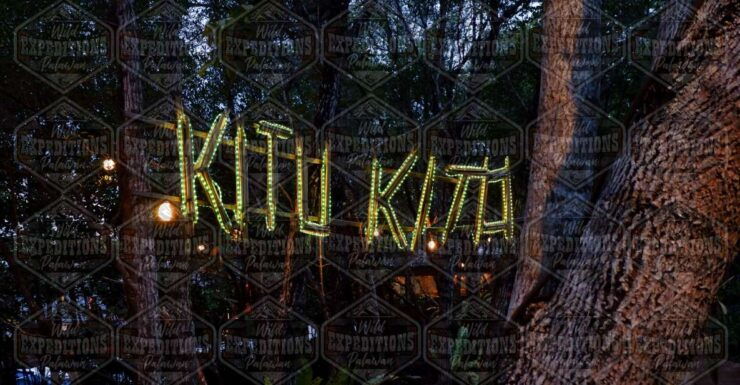 Puerto Princesa: Firefly Watching Paddle Boat Tour & Dinner - Activity Details