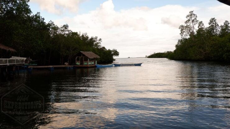 Puerto Princesa: Firefly Watching Paddle Boat Tour & Dinner - Experience Highlights