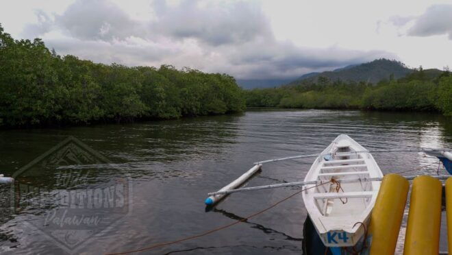 Puerto Princesa: Firefly Watching Paddle Boat Tour & Dinner - Importance of Fireflies