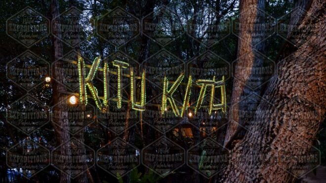 Puerto Princesa: Firefly Watching Paddle Boat Tour & Dinner - Best Time to Visit