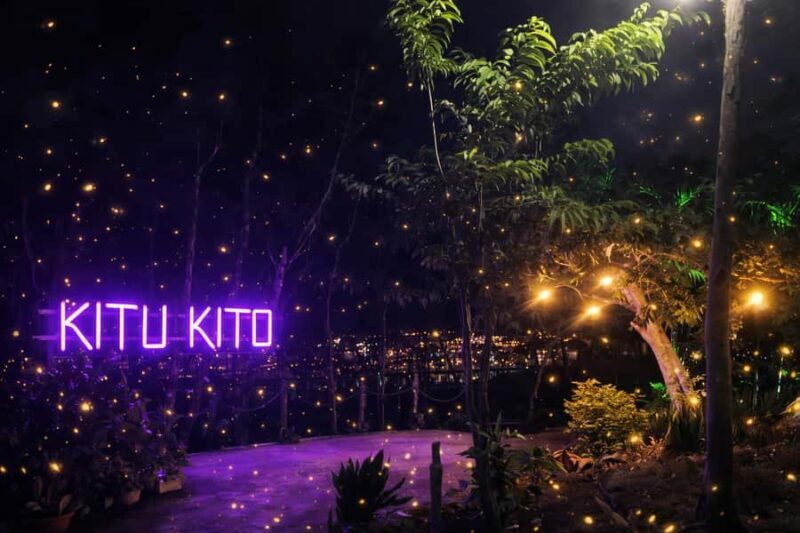 Puerto Princesa: Firefly Watching & Seasonal Plankton Tour - A Detailed Look at the Firefly and Plankton Experience