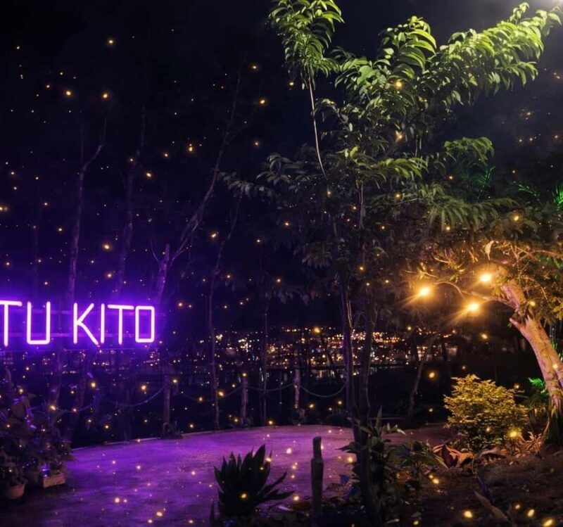 Puerto Princesa: Firefly Watching & Seasonal Plankton Tour - Who Will Love This Tour?