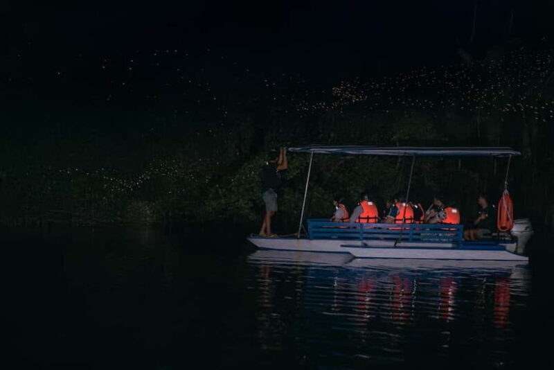 Puerto Princesa: Firefly Watching Tour with Dinner - Who Will Love This Tour?