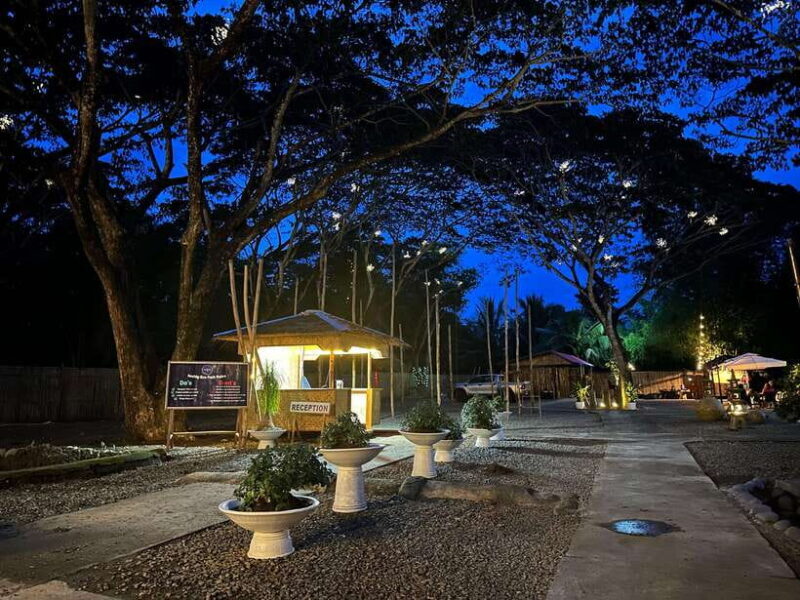 Puerto Princesa: Iwahig Firefly Watching & River Cruise - Introduction: A Night of Light and Nature