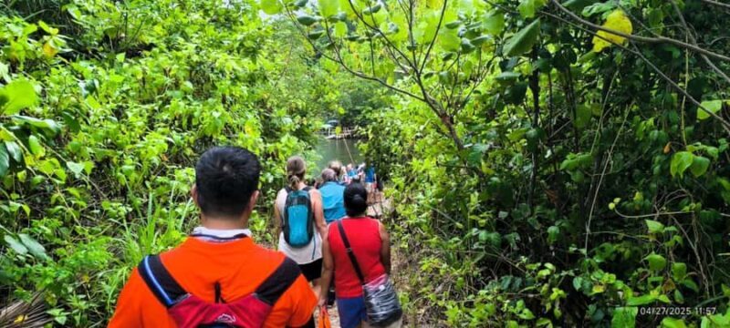 Puerto Princesa: Jungle Trail Trek to the Underground River - FAQs
