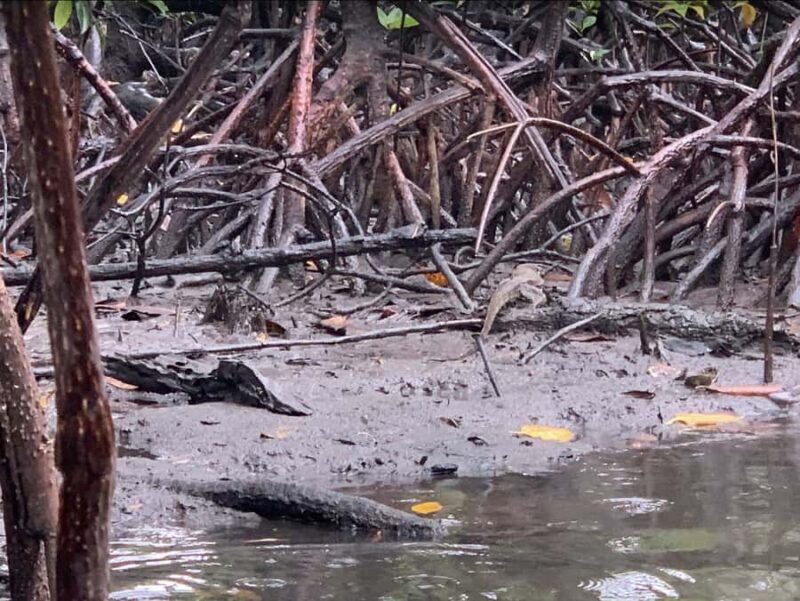 Puerto Princesa: Jungle Trail Trek to the Underground River - Final Thoughts