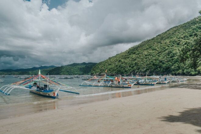 Puerto Princesa: Private Underground River and Cowrie Tour - Highlights